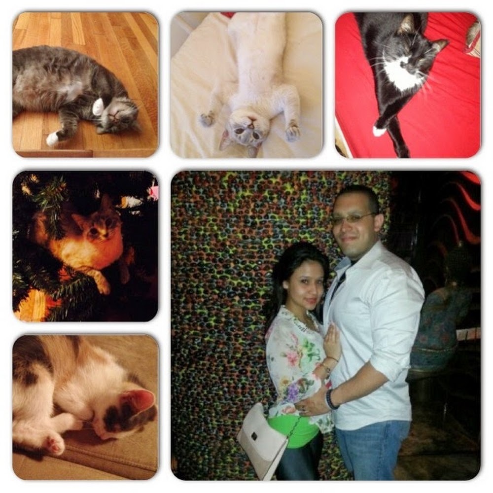 Meet your Posher, Gloria